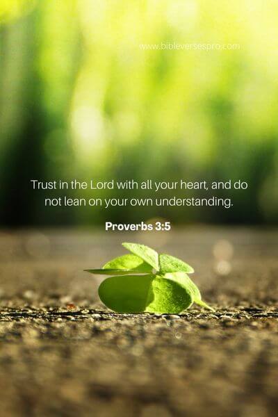 Proverbs 3_5 
