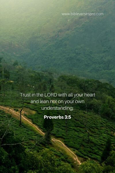 Proverbs 3_5