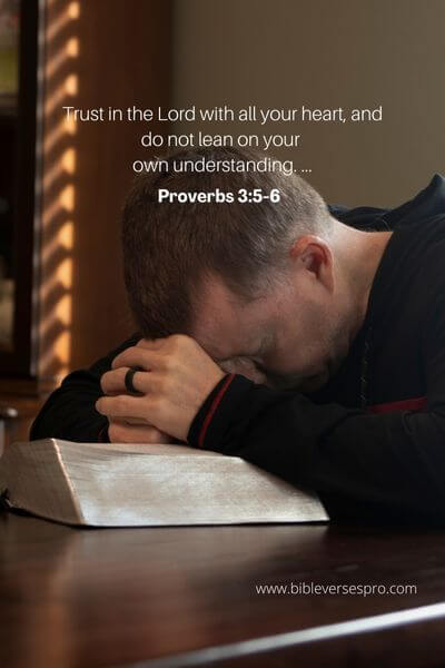Proverbs 3_5-6  