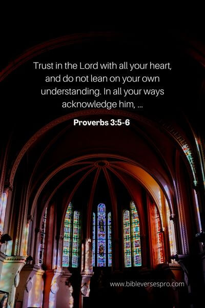 Proverbs 3_5-6 