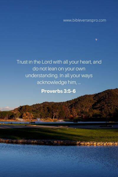 Proverbs 3_5-6 