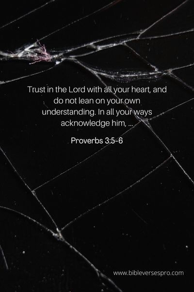 Proverbs 3_5-6