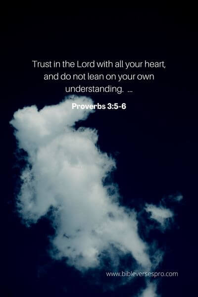 Proverbs 3_5-6