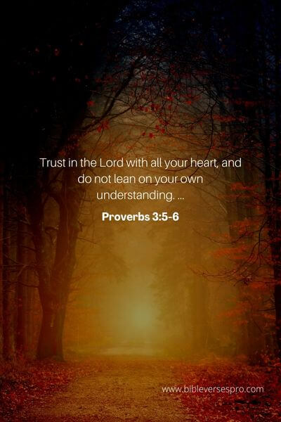 Proverbs 3_5-6