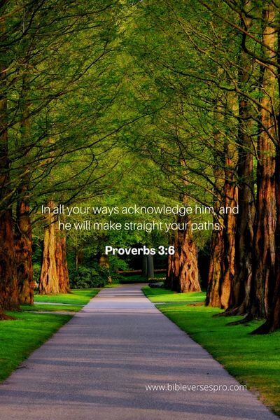 Proverbs 3_6 
