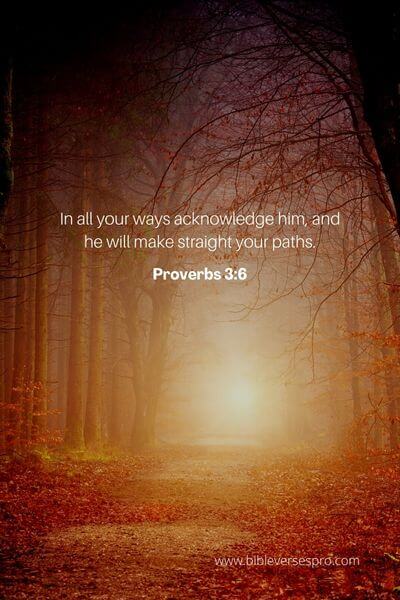 Proverbs 3_6