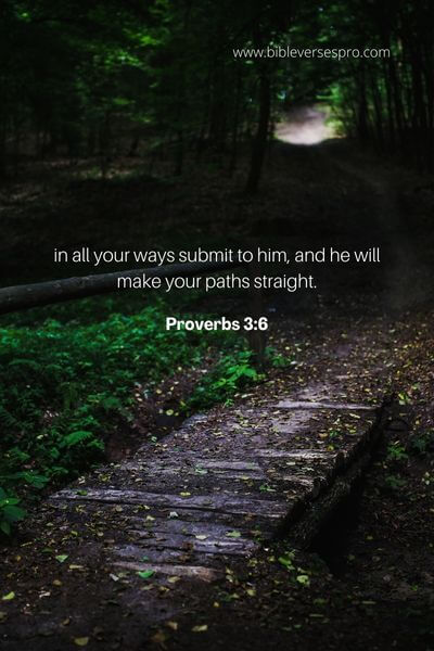 Proverbs 3_6