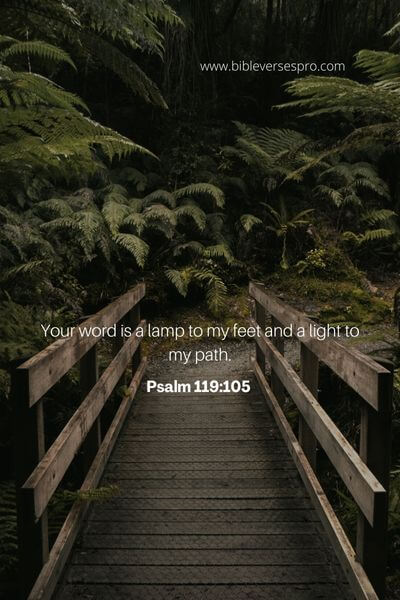Psalm 119_105 