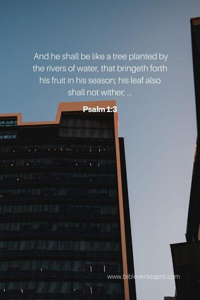 Psalm 1_3