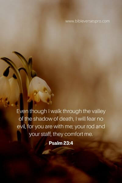 Psalm 23_4