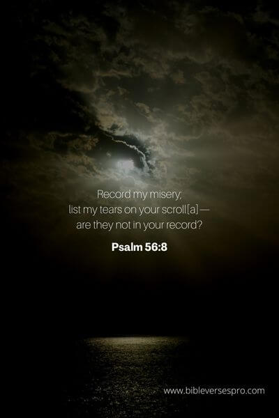 Psalm 56_8