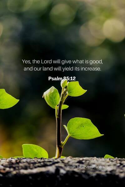 Psalm 85_12 