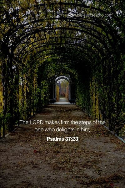 proverbs356  Fessics Favorites and Other Stuff