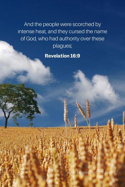 Revelation 16_9