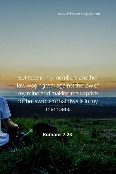 Romans 7_23 
