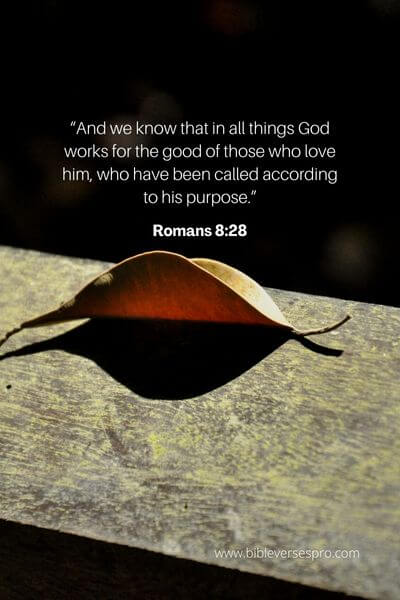 Romans 8_28