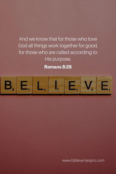 Romans 8_28