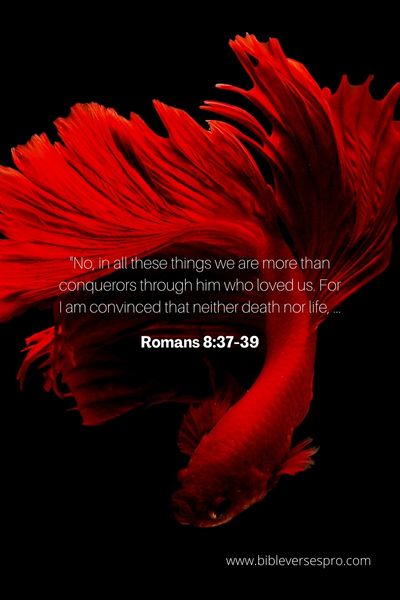 Romans 8_37-39