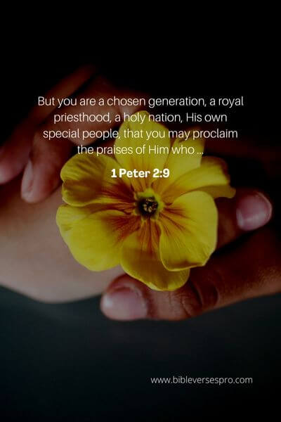 1 Peter 2_9 