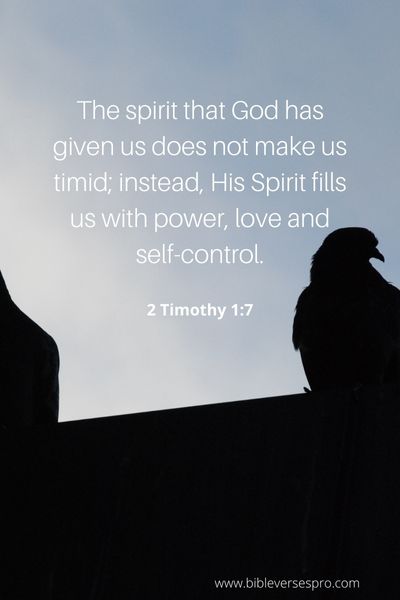 2 Timothy 1_7