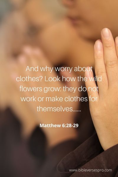 Matthew 6_28-29