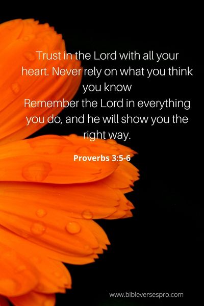 Proverbs 3_5-6