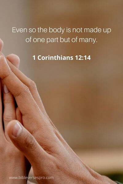 1 Corinthians 12_14