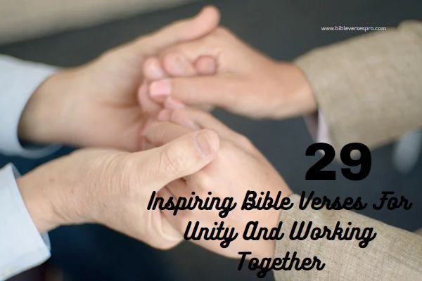 Bible Verses For Unity And Working Together