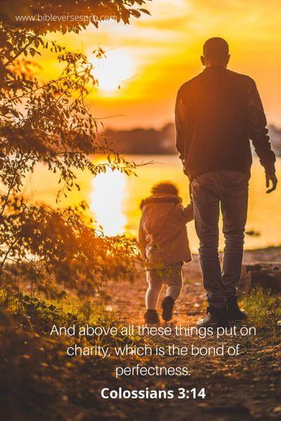 Colossians 3_14