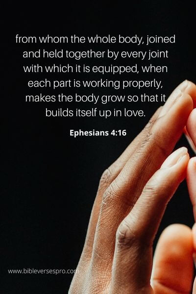 Ephesians 4_16