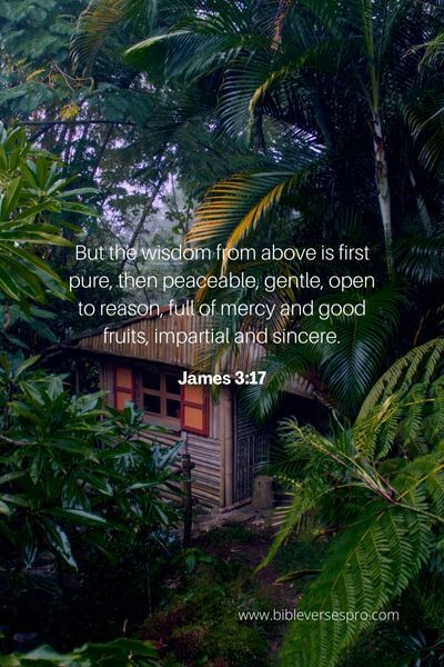 James 3_17