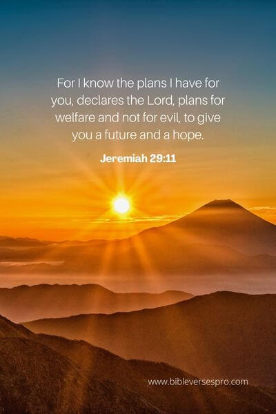 Jeremiah 29_11