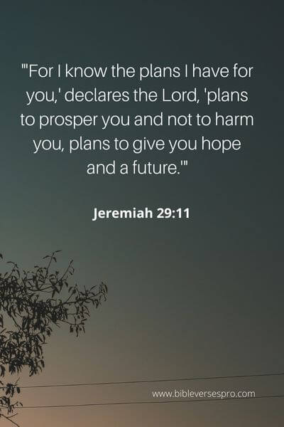 Jeremiah 29_11