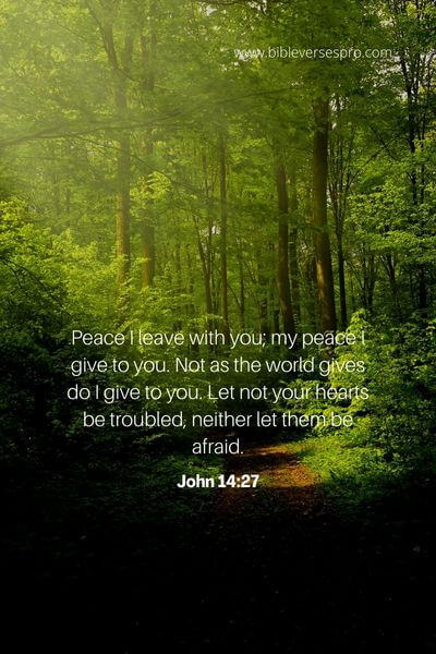 John 14_27