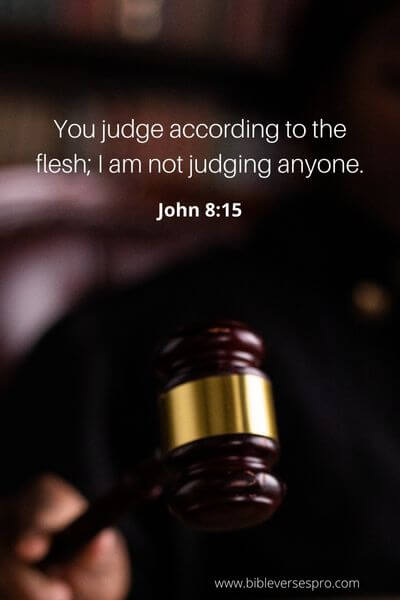 John 8_15