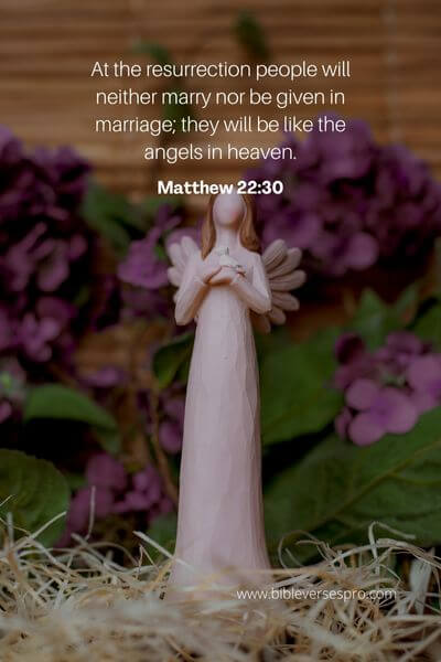 Matthew 22_30
