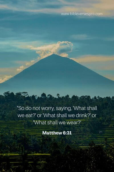 Matthew 6_31