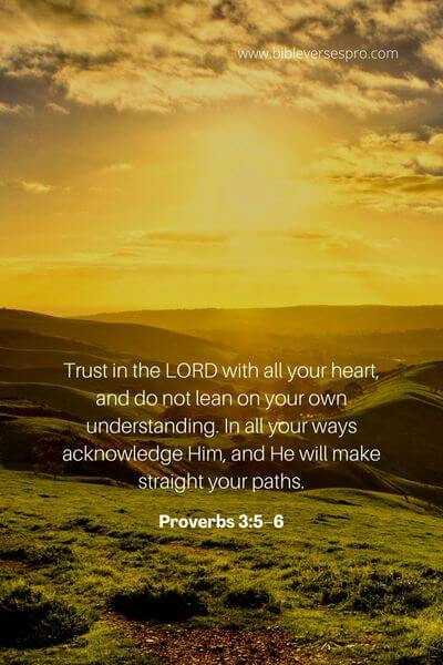 Proverbs 3_5–6