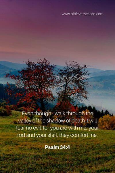 Psalm 23_4