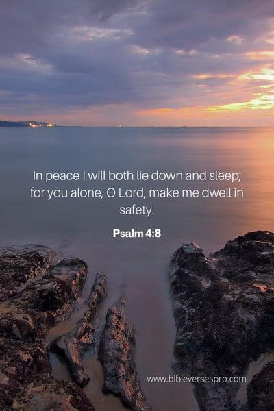 Psalm 4_8