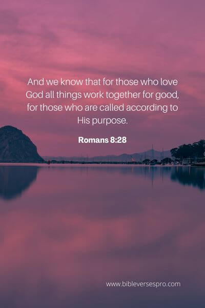 Romans 8_28
