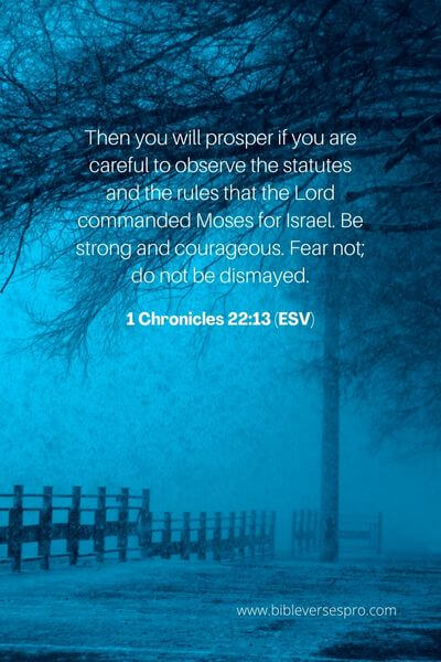 1 Chronicles 22_13 (Esv)