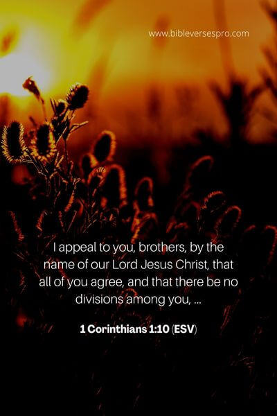 1 Corinthians 1_10 (Esv)