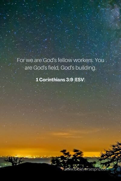 1 Corinthians 3_9 (Esv)