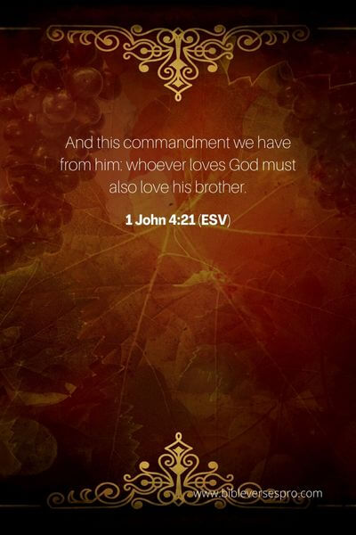 1 John 4_21 (Esv)