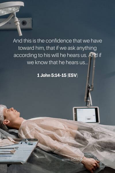 1 John 5_14-15 (Esv)
