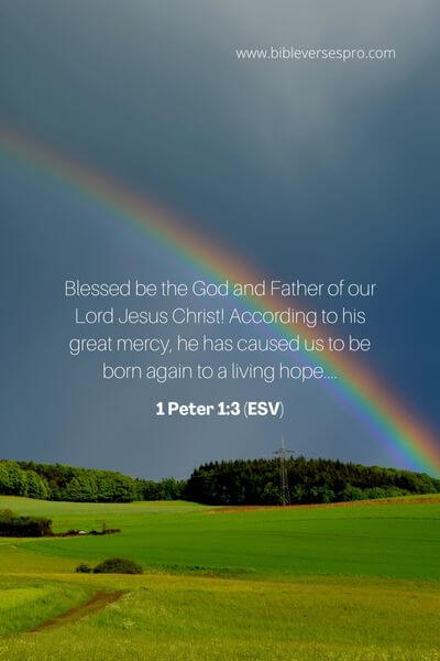 1 Peter 1_3 (Esv)
