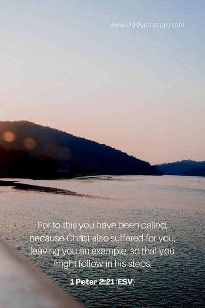 1 Peter 2_21 (Esv)