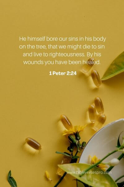1 Peter 2_24