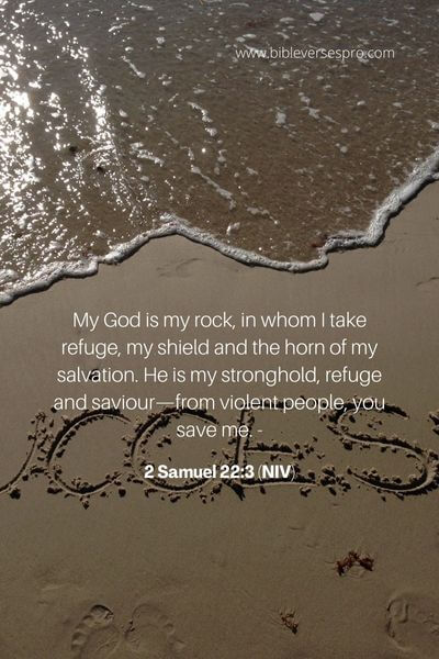 2 Samuel 22_3 (NIV)